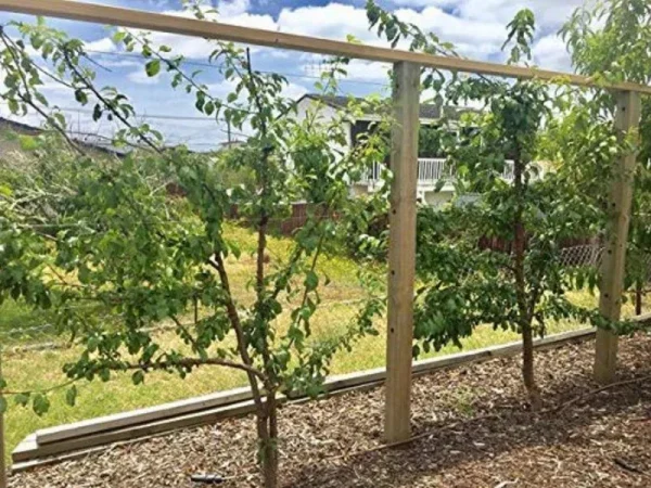 Espalar Post Mounted Heavy-Duty Espalier/Trellis Kit for Climbing Plants,Vines and Greenwalls (Wire Included)