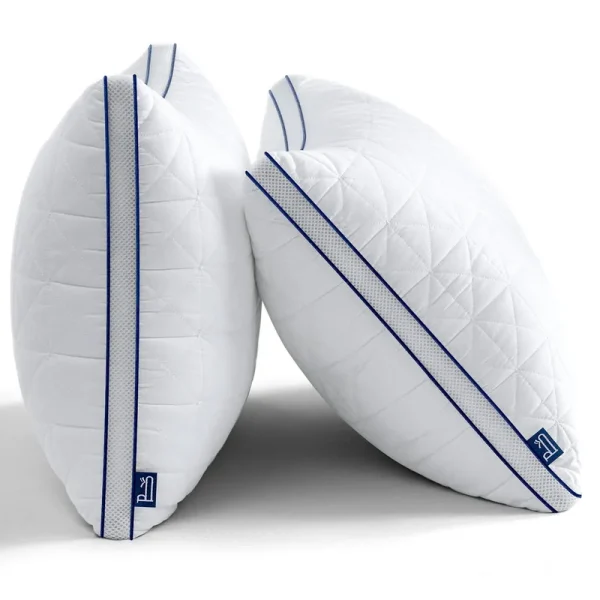 BedStory Bed Pillows for Sleeping-Queen Pillows 2 Pack-Cooling Pillows with Mesh Design-Premium Soft Down Alternative Fill Supportive for Back