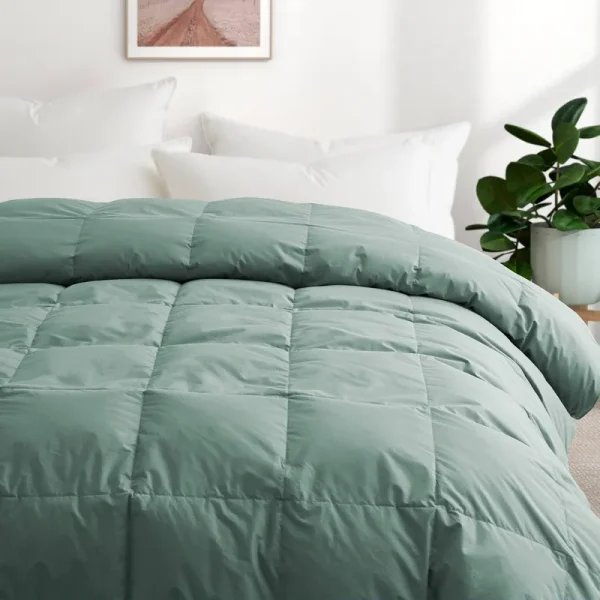 All Season Organic Cotton Comforter Filled with Down and Feather Fiber - Laurel Green, Twin