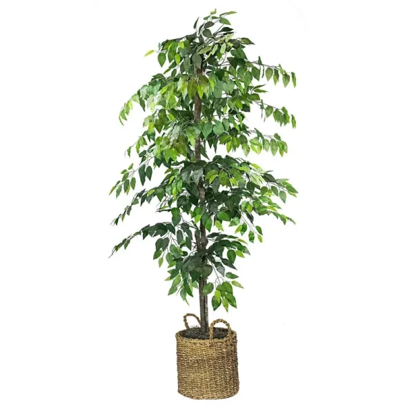 Artificial 6-Foot Ficus Tree in Basket