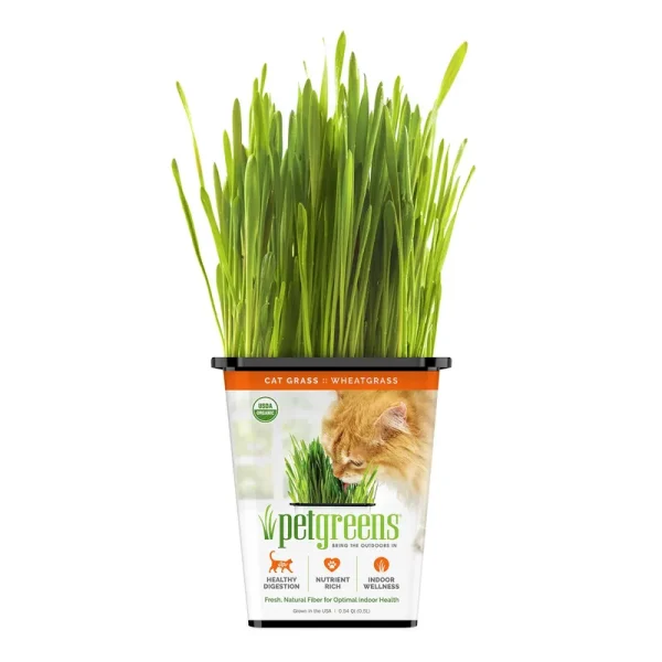 Pet Greens Live Cat Grass Organic Wheatgrass