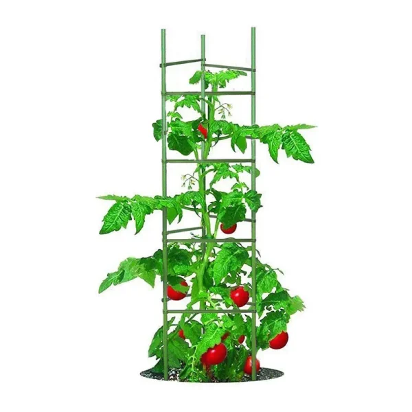 Growsun 5 ft Tomato Cage Plant Support Garden Stakes,5 Pack