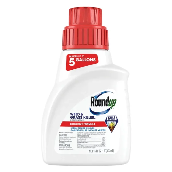 Roundup Weed & Grass Killer Concentrate 16 fl oz