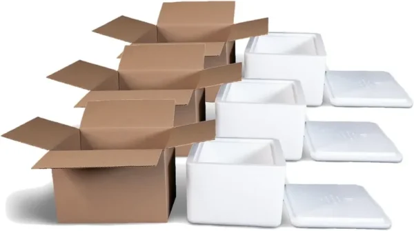 Foam Cooler (Outside Dimensions: 12 x 11 x 9) with Shipping Box - 3 Pack, Protective, Thermal, Insulated, Biodegradable, Recyclable, Shipping/Storage