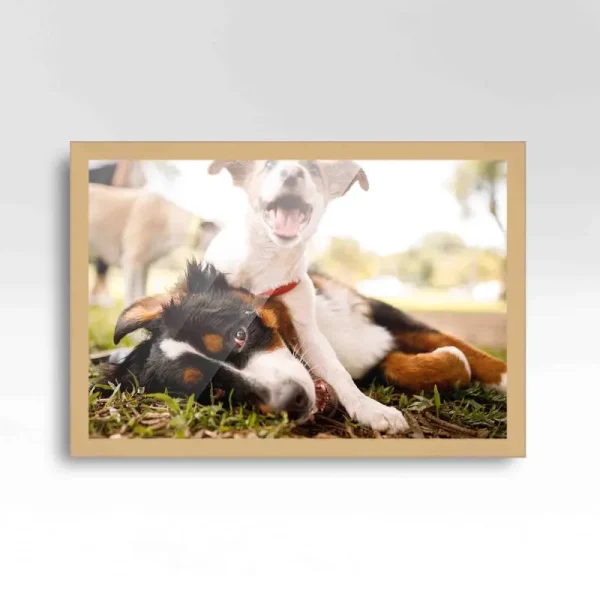 CustomPictureFrames.com 23x33 Frame Beige Real Wood Picture Frame Width 0.75 Inches | Interior Frame Depth 0.5 Inches | Natural Traditional Photo