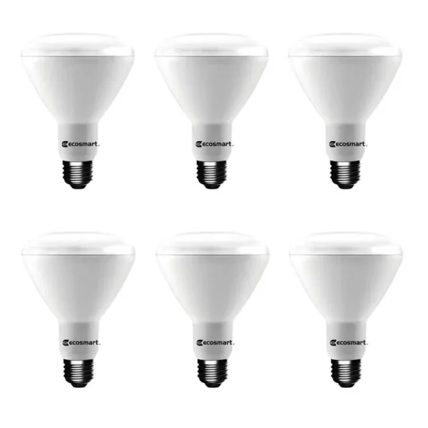 Ecosmart 65W Equivalent Daylight BR30 Dimmable LED Light Bulb (6-pack)