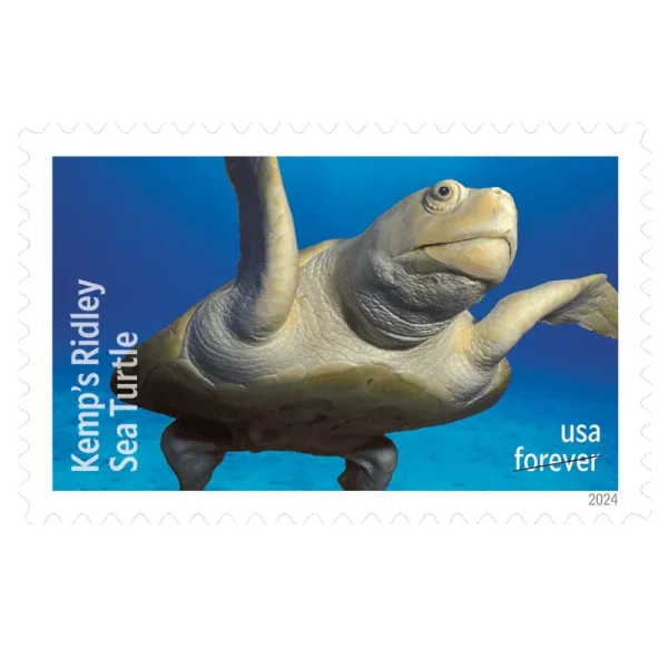 Forever Stamps 2024 Kemp's Ridley Sea Turtle – Nature Series. First-Class Postage