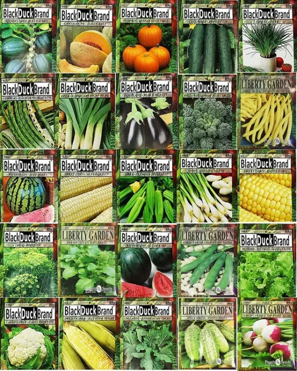 Set of 25 Premium Vegetable & Herb Seeds - 25 Deluxe Variety Premium Vegetable & Herb Garden 100% Non-GMO Heirloom