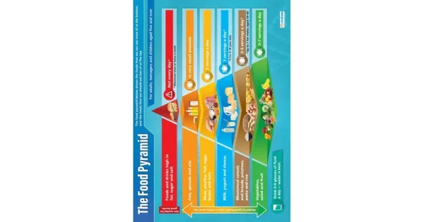 The Food Pyramid Poster