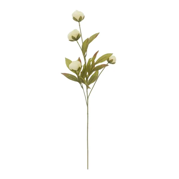 Ashland Cream Peony Stem