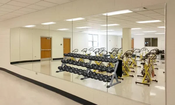 CrossROBBIN Wall Mounted Activity Mirrors for Home Gym and Commercial Use (1, 48"x32")