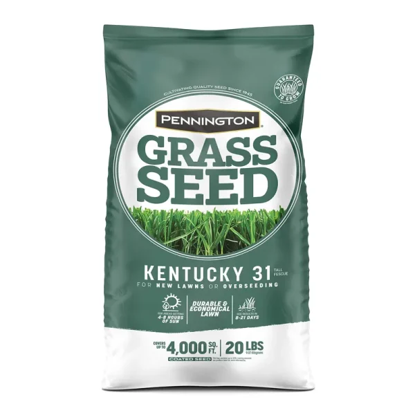 Pennington Kentucky 31 20-lb Tall Fescue Grass Seed