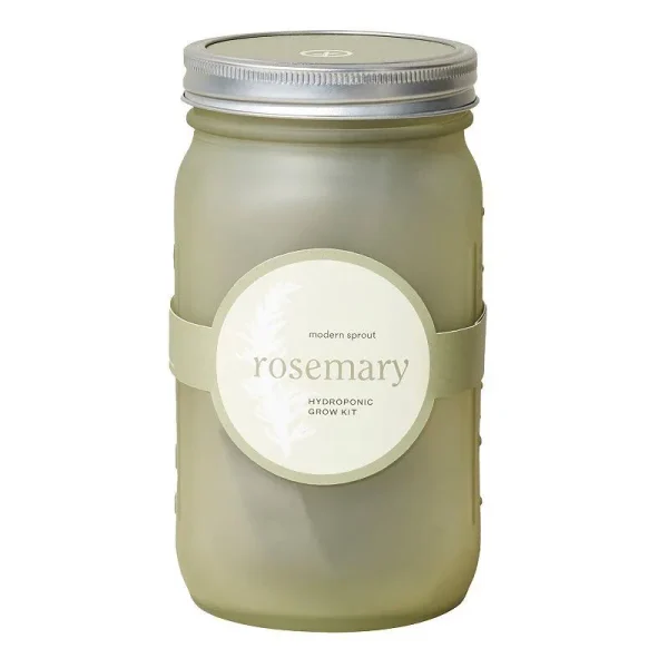 Modern Sprout Garden Jar - Rosemary