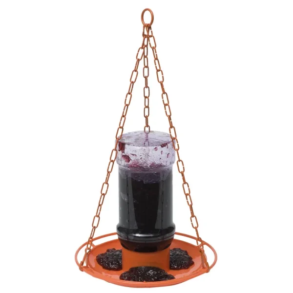 Perky Pet Oriole Jelly Wild Bird Feeder, Orange