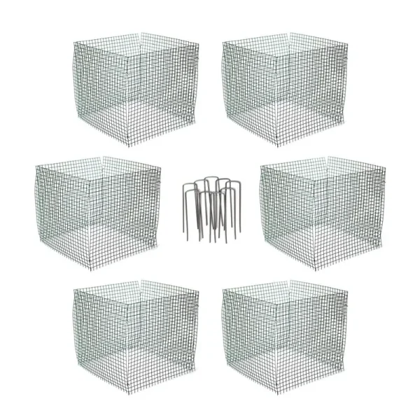 WiredWorks 6 New Small Wire Plant Protectors, 12" Square, 12" High (Vinyl Coated Rust Resistant wire)