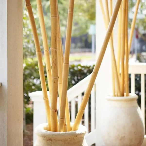 Backyard X-Scapes Natural Bamboo Poles 2in x 8ft (10Pieces)