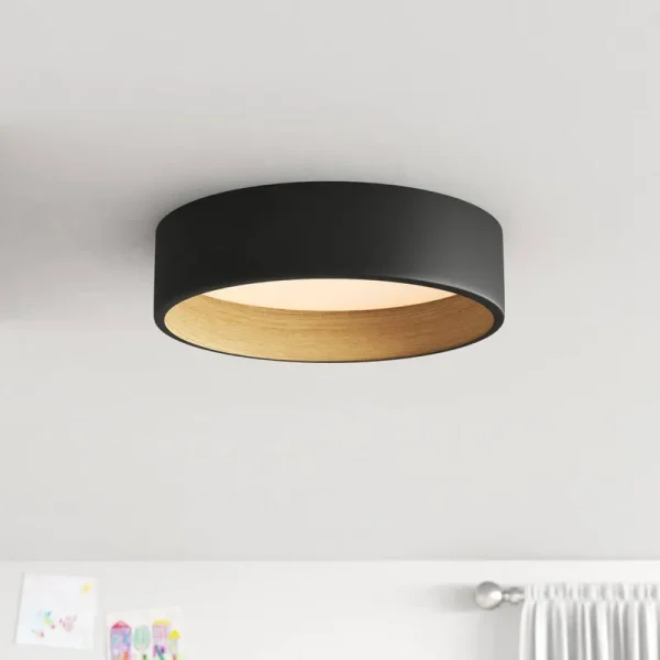 Bodine Single Light Acrylic LED Flush Mount