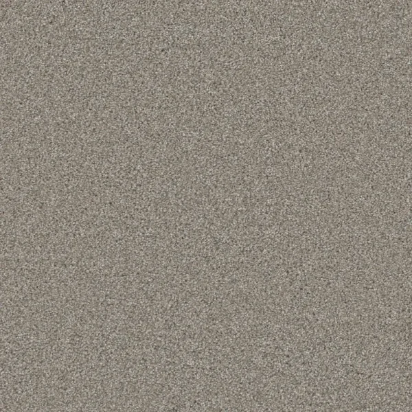 Royal Flush II High Card Tan 70-oz sq yard Solution-dyed polyester Textured Indoor Carpet