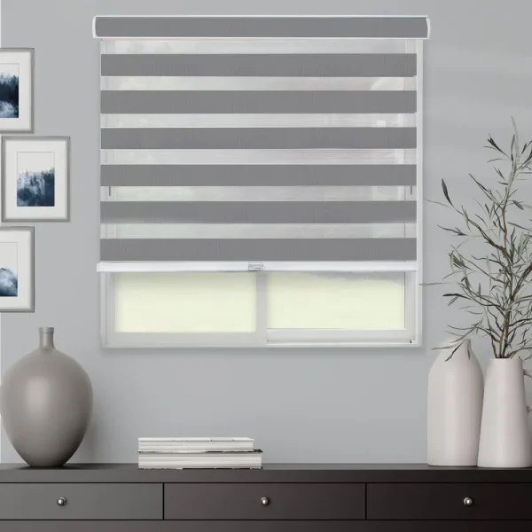 Chicology Everyday Cordless Zebra Shades, Light Filtering - 21"W x 72"H - Basic Slate