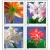 100 Stamps 5 Books