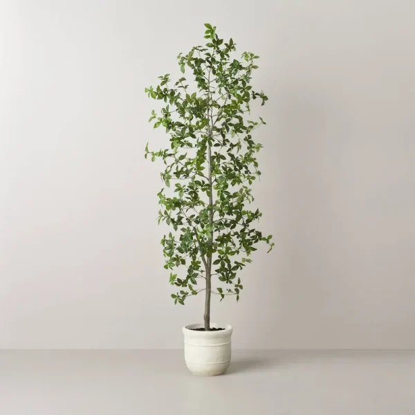 72" Faux Gypsophila Leaf Tree - Hearth & Hand with Magnolia