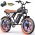 20inch-1000W-48V 15.6AH-