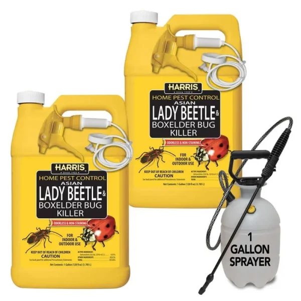 Harris 1 gal. Asian Lady Beetle and Box-Elder Bug Killer and 1 gal. Tank Sprayer Value Pack (2-Pack)