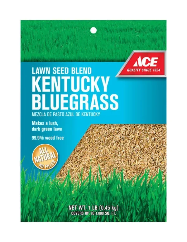 Ace Kentucky Bluegrass Full Sun Lawn Seed Blend 1 Pound