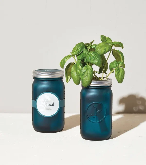 Modern Sprout Basil Garden Jar