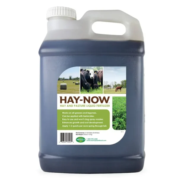 Hay - Now (2.5 Gallon Jug)