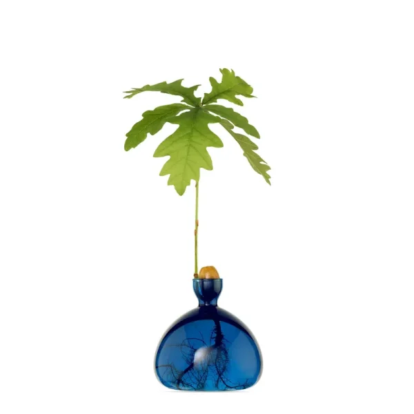 Ilex Studio Acorn Vase | Lapis Blue
