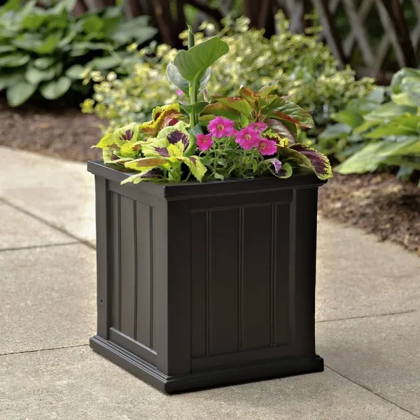 Selevae Resin Planter Box with Water Reservoir Charlton Home Color: Black, Size: 16" H x 16" W x 16" D