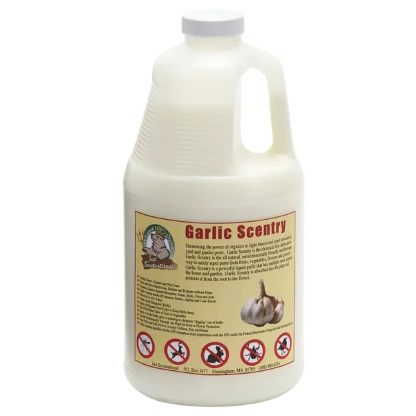 Just Scentsational Garlic Scentry - GAR-64