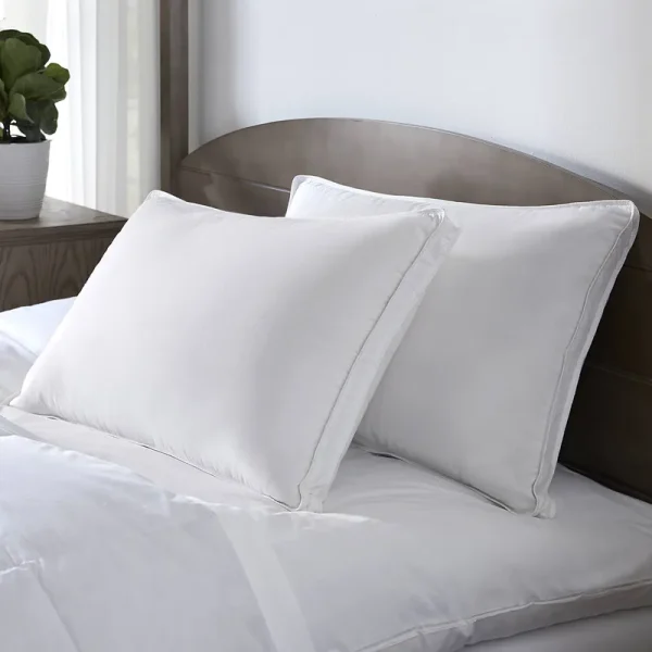 Pacific Coast Feather Double DOWNAROUND Down Pillow, King, White