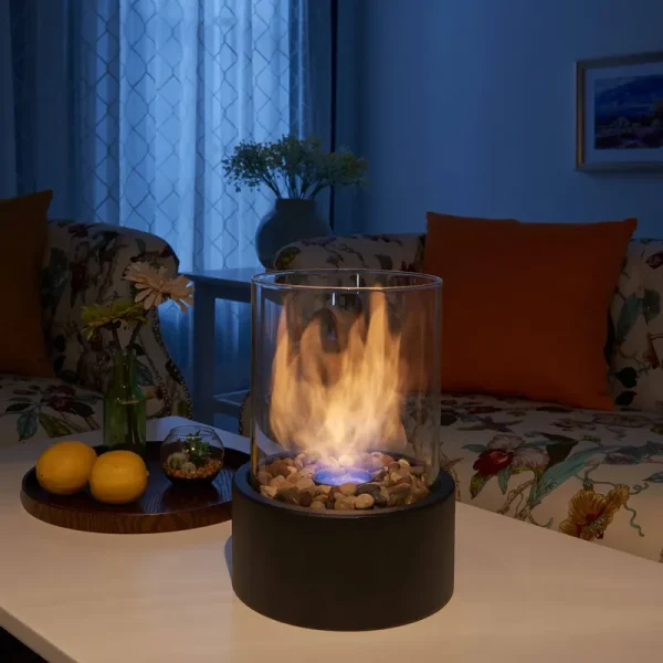 Danya B. Indoor / Outdoor Portable Tabletop Fire Pit Ventless Fireplace - Small
