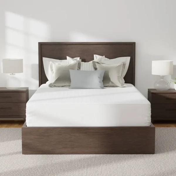 Allerease Platinum Mattress Protector | King