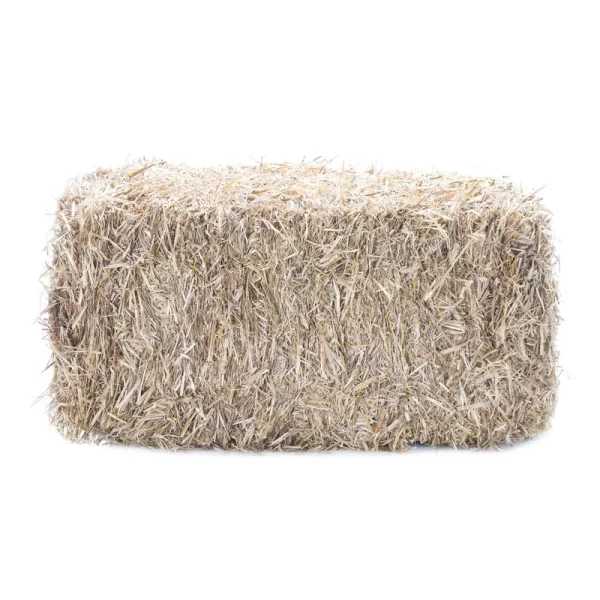 Lowe's Wheat Straw - Up to 80 Sq ft Coverage - Each