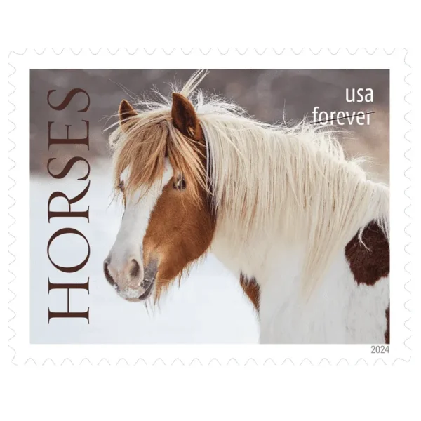 Forever Stamps 2024 Horses – Nature Series. First-Class Postage
