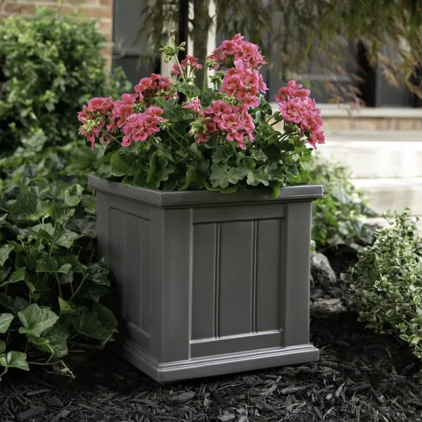 Selevae Resin Planter Box with Water Reservoir Charlton Home Size: 14" H x 14" W x 14" D, Color: Graphite Gray