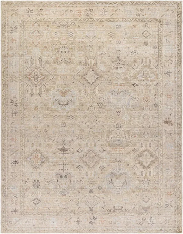 Hauteloom Marlene Damask Light Brown Area Rug - Surya x Becki Owens