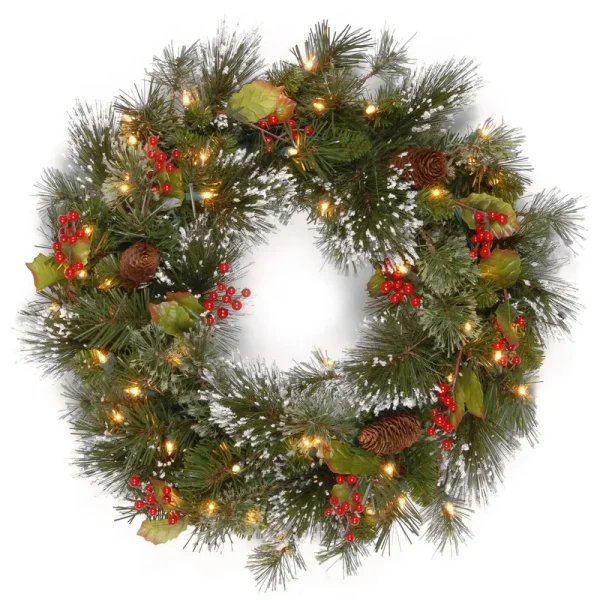 National Tree Wintry Pine Wreath with Warm White LED Lights 24"