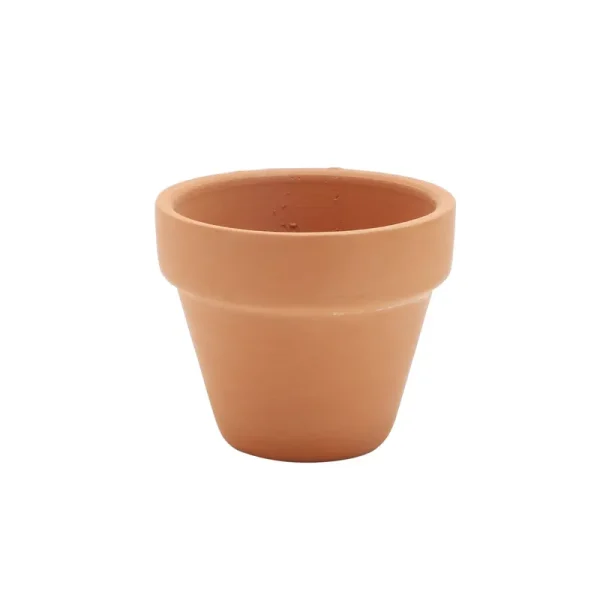 2" Terracotta Pot