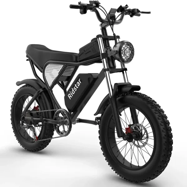 Electric Bike for Adults Ridstar, 20" Fat Tire Electric Motorcycle, 1000W Electric Bike with Removable 48V/20ah Battery E - Bike Shimano 7 Full Suspension Electric Bicycle