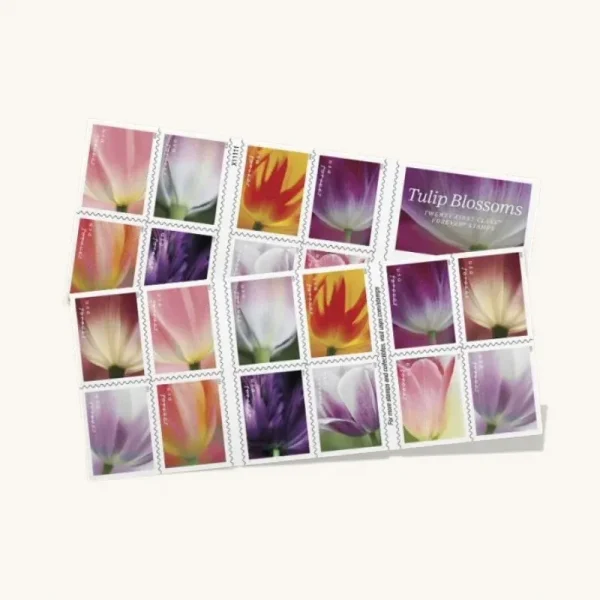 2023 Tulip Blossoms First Class - Forever Postage Stamps