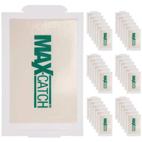 Catchmaster MAX-Catch Mouse & Insect Glue Trap 36pk, Mouse Traps Indoor for Home, Sticky Pest Control Adhesive Tray for Catching