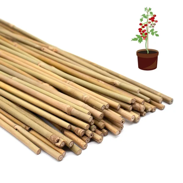 POLIUMB 50pcs Plant Stakes,16 inch Natural Bamboo Stakes,Garden Stakes for Indoor and Outdoor Plants,Poles Sticks for Tomatoes,Beans,Flowers,Trees
