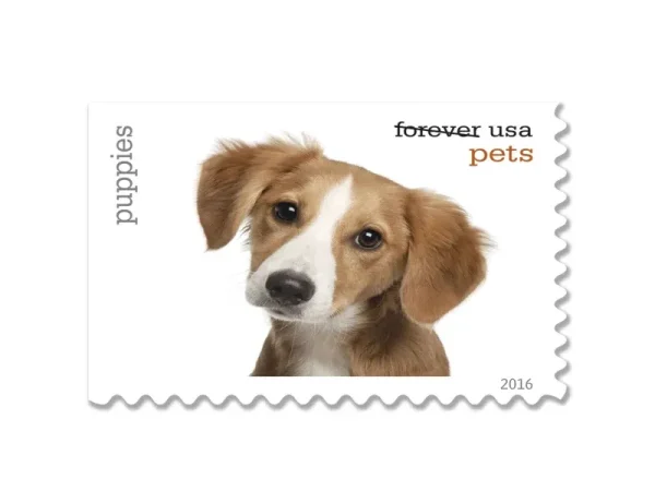 Forever Stamps 2016 Pets – Animal Companions (Puppies). First-Class Postage
