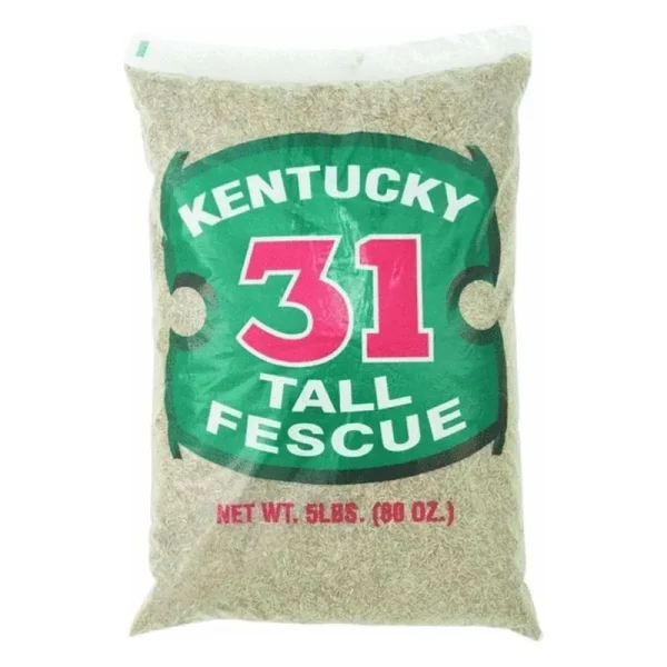 Barenbrug Kentucky 31 Tall Fescue Grass Seed 5 lbs