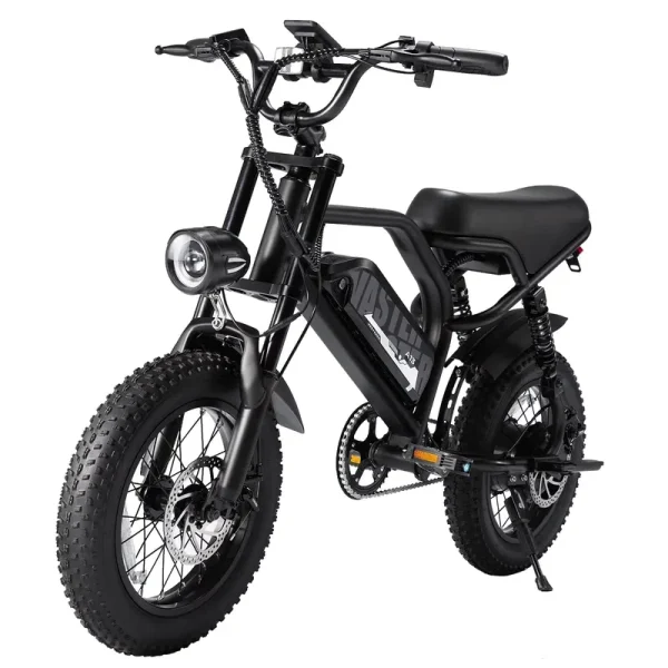 AVDL Electric Bike, 16" Fat Tire Ebike, 500W Motor, 48V 12ah Removable Battery, 4x Suspension, 38 Miles Pure Electric, 55 Miles Pedal