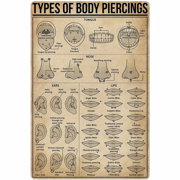 Types of Body Piercings Tin Sign Knowledge Popular Science Poster School Farm Garden Hospital Information Table Bar Garage Club Home Wall Decoration